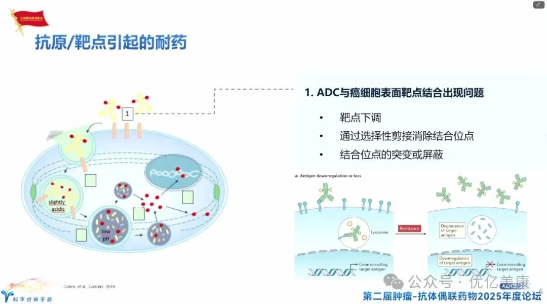 Exploring Solutions to ADC Drug Resistance