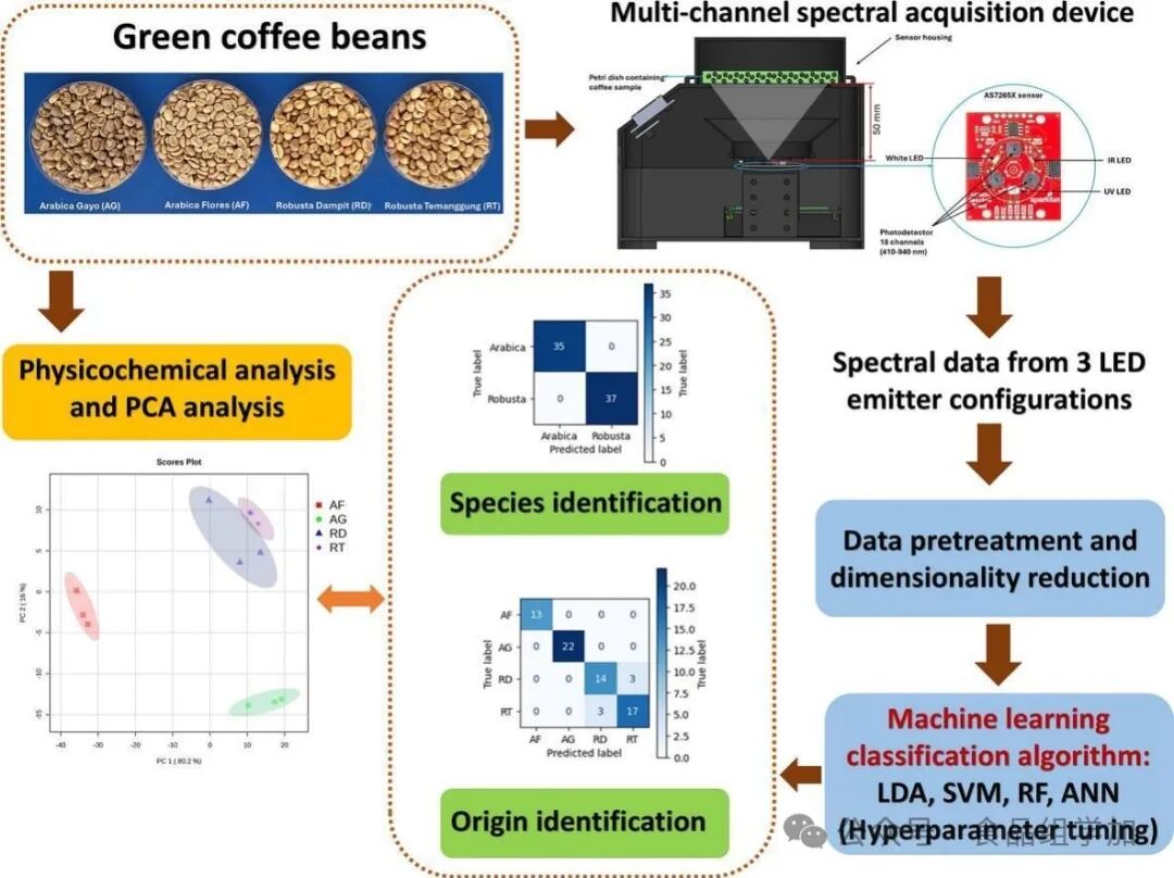 Multichannel Spectral Sensors Combined with Machine Learning for Rapid Identification of Coffee Varieties and Origins