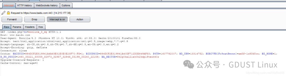 Linux Lesson 5: Web Security Vulnerabilities