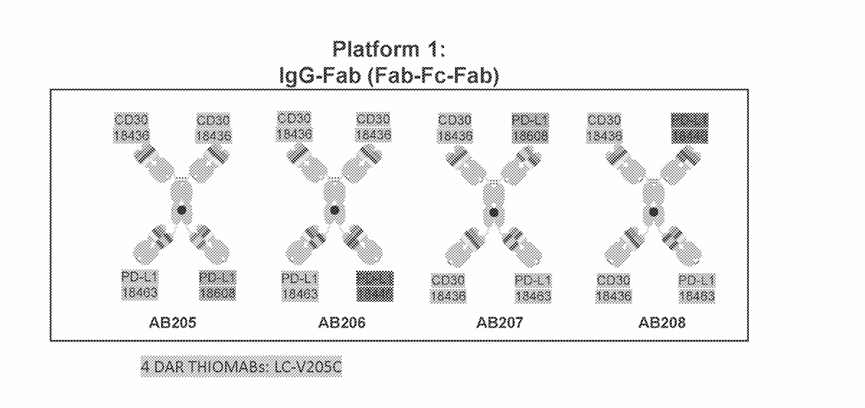 The Arrival of Quadruple Antibody-Drug Conjugates (ADCs)