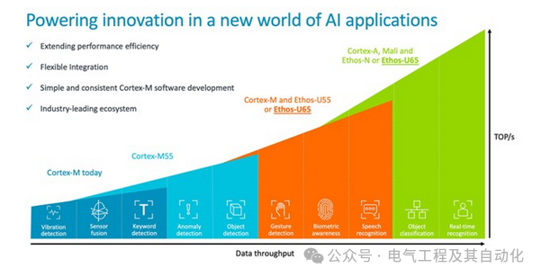 AI Accelerators in Embedded Systems