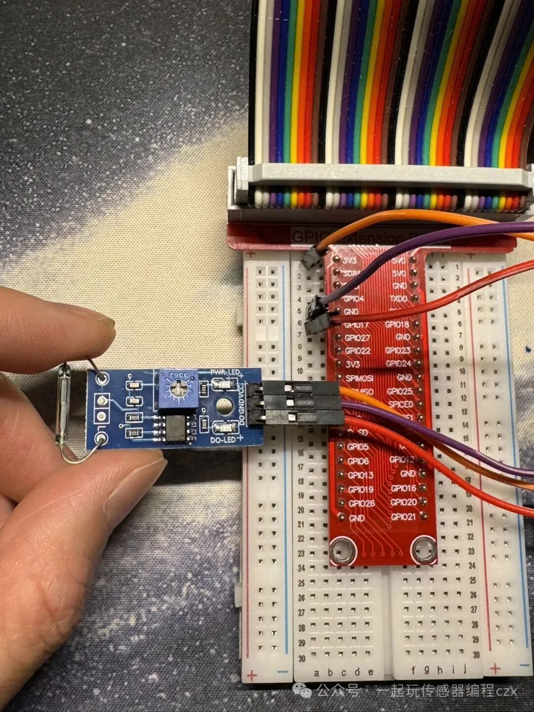 10. Reed Switch Sensor