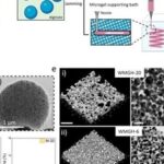Experts in 3D Printing Materials (No Particular Order)