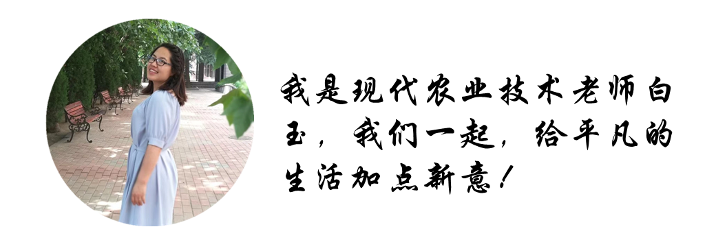 Innovative Practice School in Dalian: Excellent Micro-Class Broadcast (97) - Hydroponic Wind Chime Pothos
