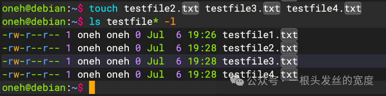 Chapter 2: Basic Linux Commands, Practical Examples of the [touch] Command