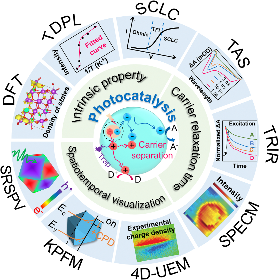 Transfer Dynamics of Photo-Generated Carriers in Catalysis