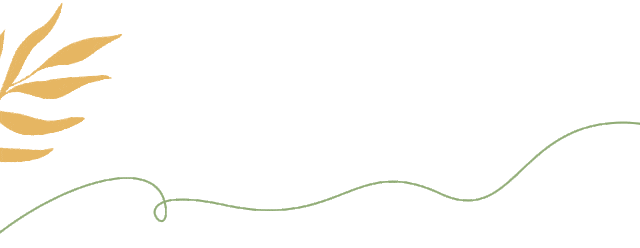 The Colorful Course: The Adventure of Stationery