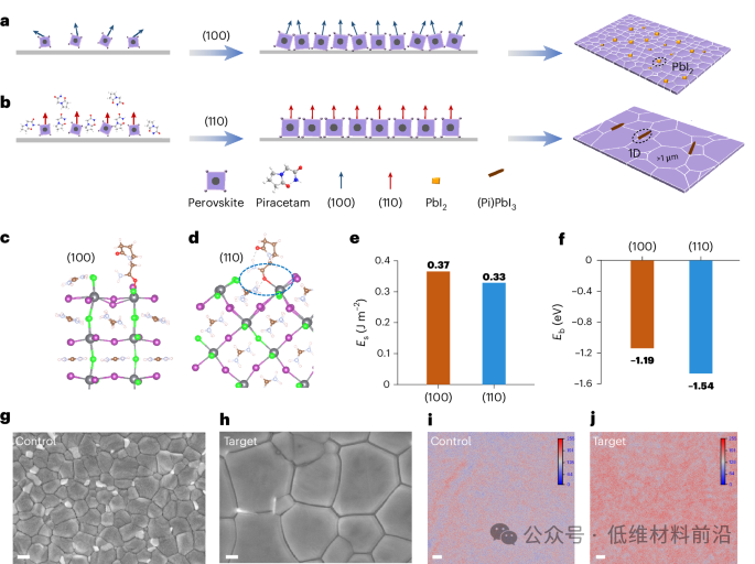 Wuhan University Scientists Breakthrough New Strategy for Photovoltaic Device Bottlenecks!