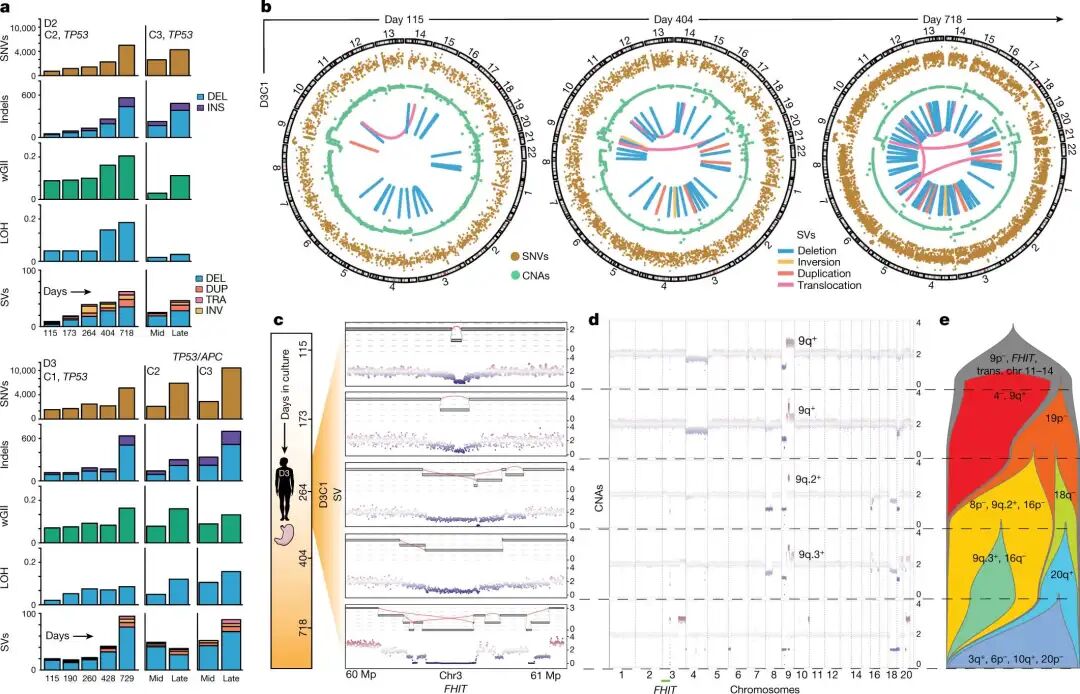 How to Use MATLAB to Retrieve All Illustrations from Nature (Including Images from 2023-2025)