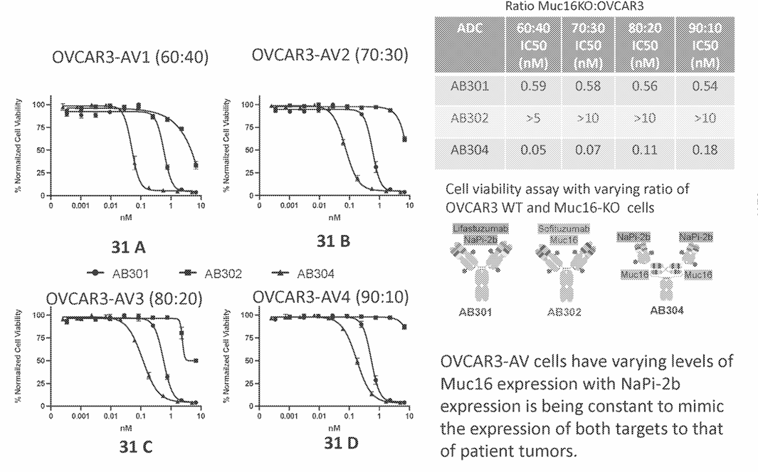 The Arrival of Quadruple Antibody-Drug Conjugates (ADCs)