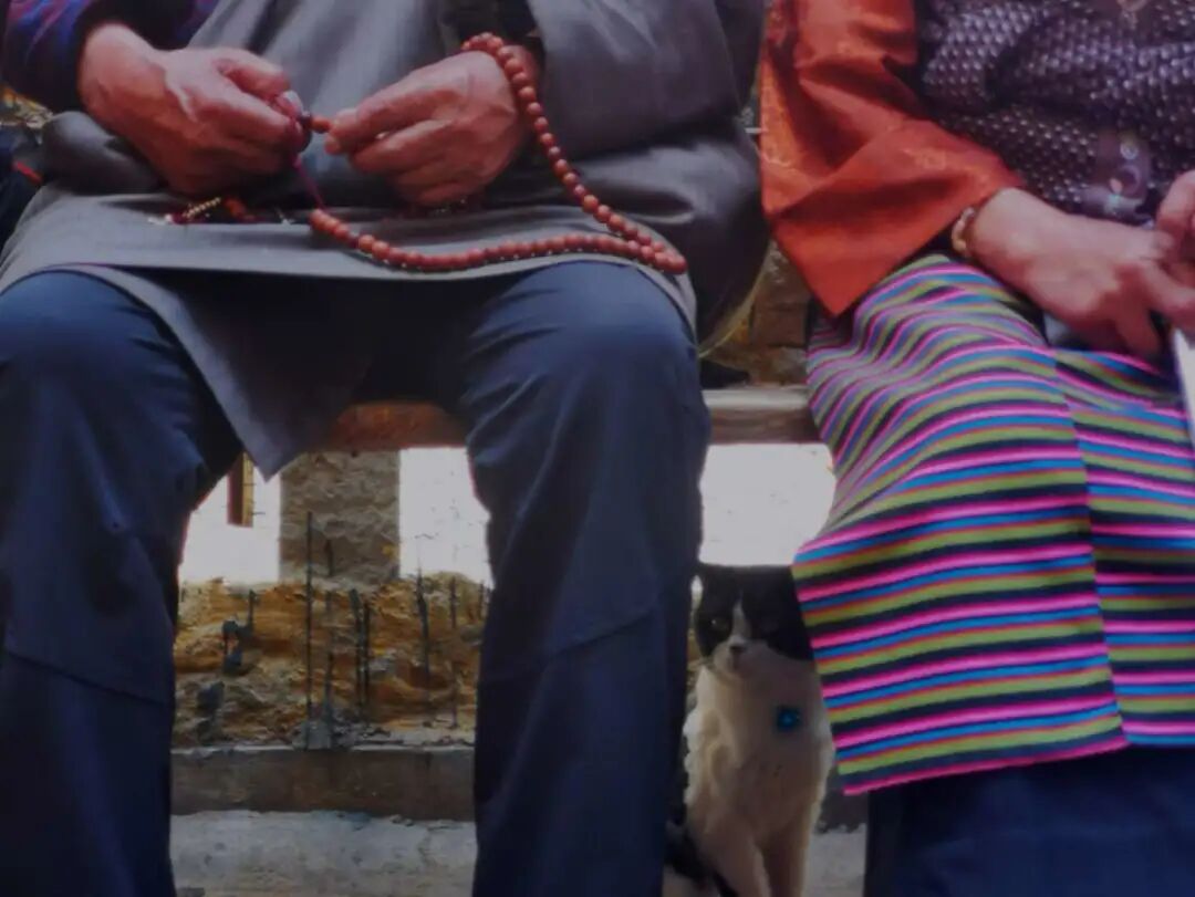 An Exciting Summer: Climbing Snowy Mountains, Learning Python, and Volunteering!