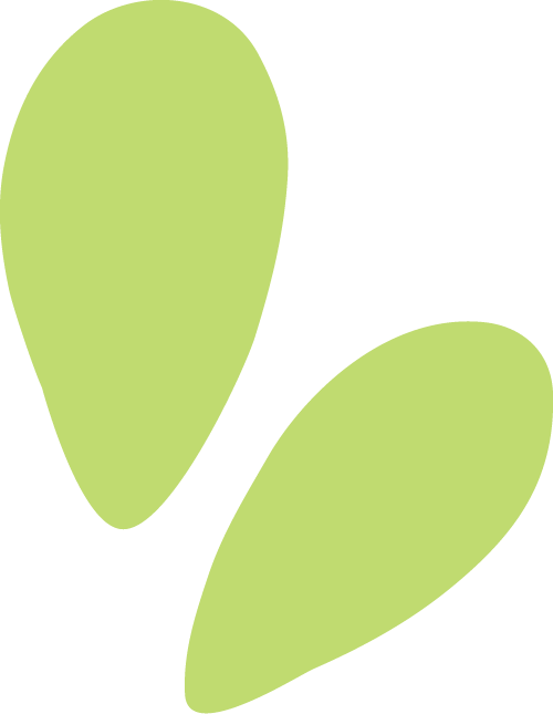 The Global Surge of DAC Technology: Who is Capturing the Gold in the Air?