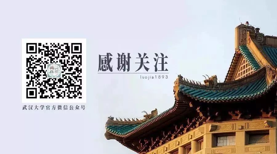 An Exciting Summer: Climbing Snowy Mountains, Learning Python, and Volunteering!