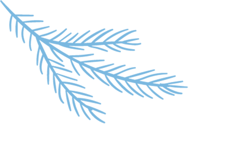 2025 Anhui Province Robot Competition Microcontroller and Embedded Systems Preliminary Round Successfully Held at Huainan Normal University