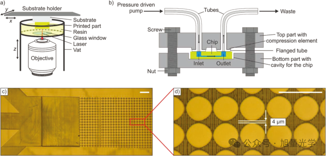 3D Printing Issue 5: Breakthrough in Embedded Microfluidic Chips via Two-Photon Lithography