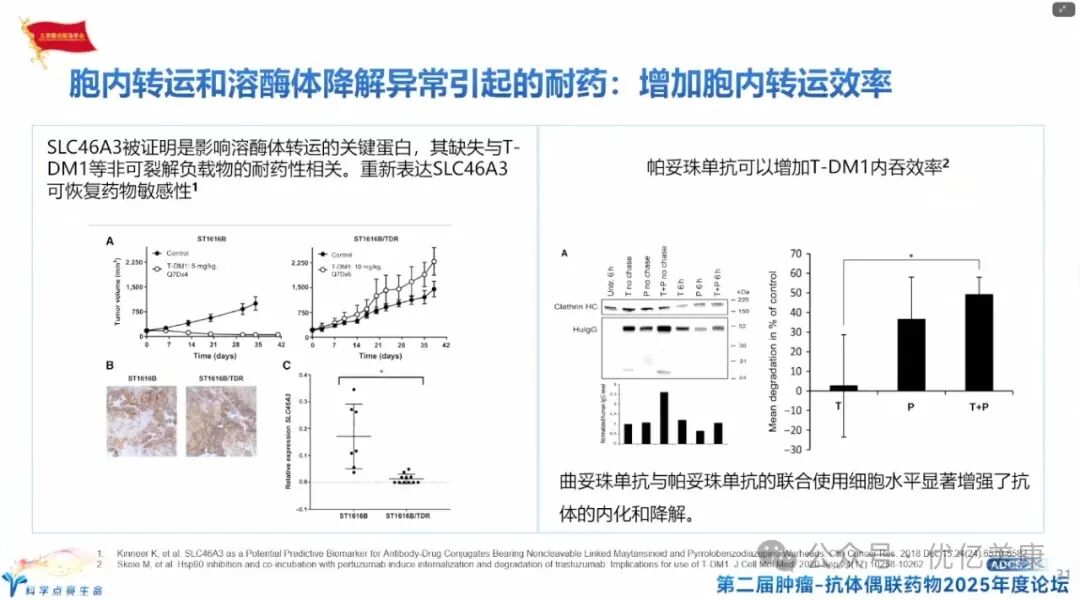 Exploring Solutions to ADC Drug Resistance