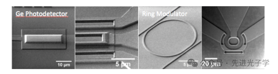 Services | AMF Silicon-Based Photonic Chip Wafer Fabrication (2025)