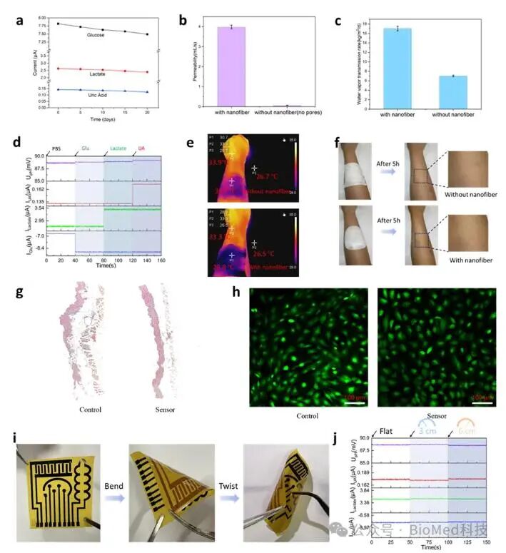 Innovative Bionic Skin Sweat Sensor