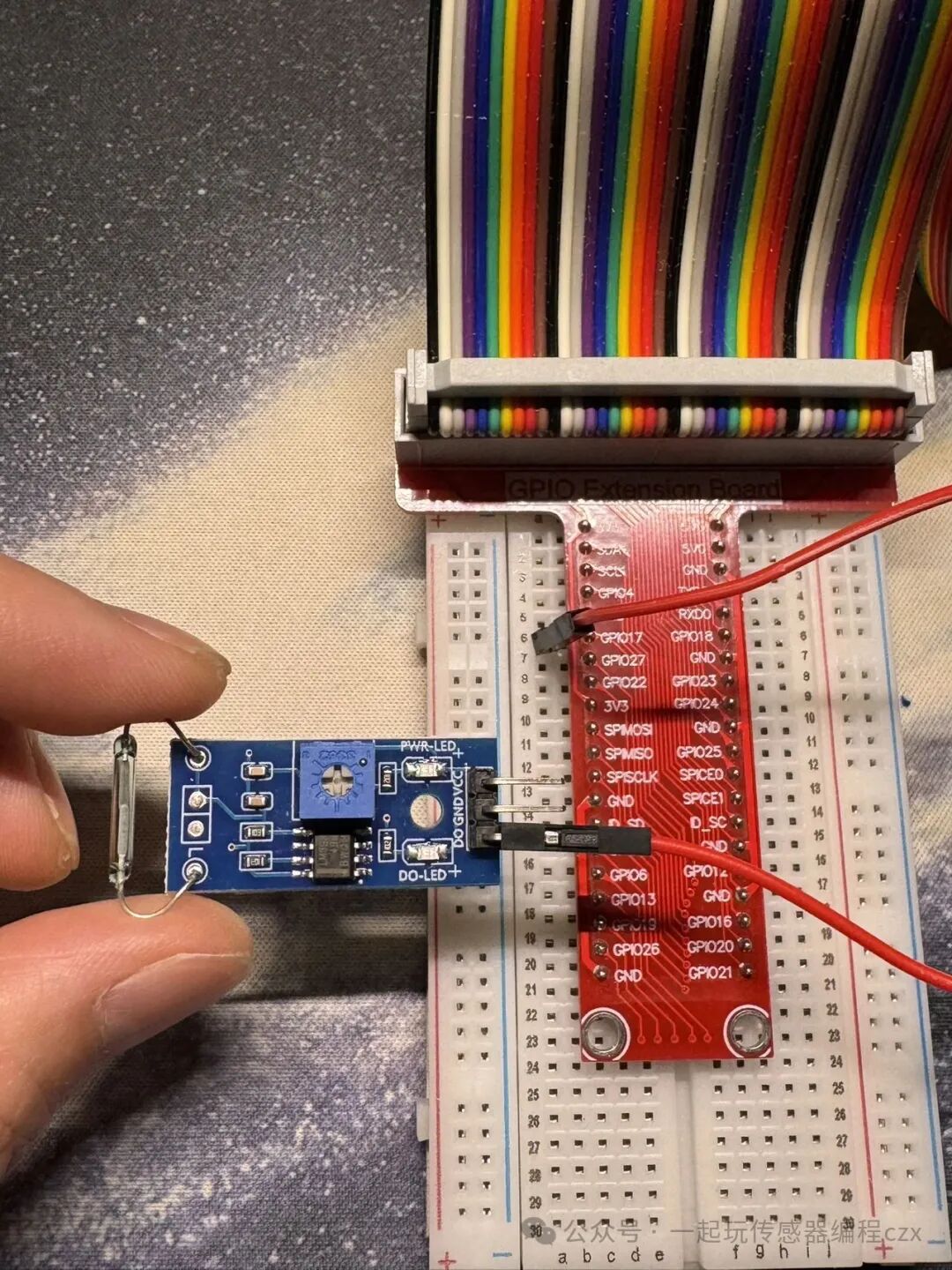 10. Reed Switch Sensor