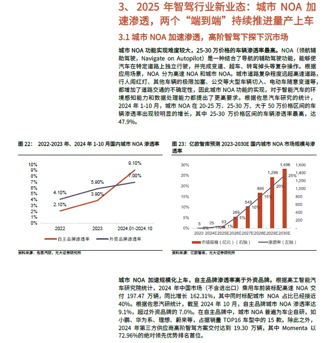2025 In-Depth Report on Smart Driving SoC Industry