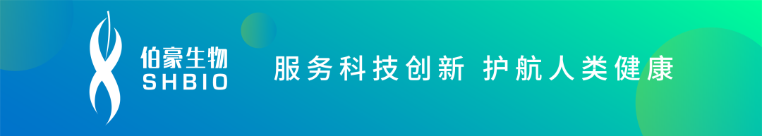 Discovery of an Unconventional Lamprey Lymphocyte Lineage Highlights Divergent Features in Vertebrate Adaptive Immune System Evolution