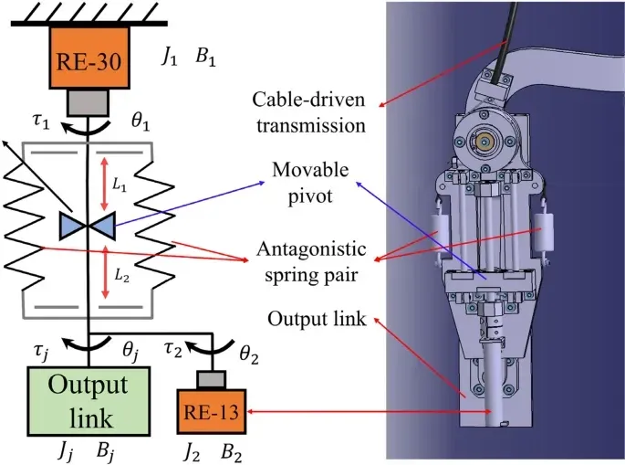 Bilateral Rehabilitation System Using Bilateral or Unilateral Assistive Robots Developed by Kagawa University Research Team