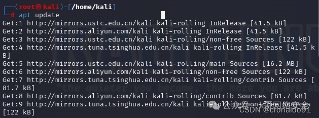 Linux System Administration: Installing Kali Linux on a Virtual Machine