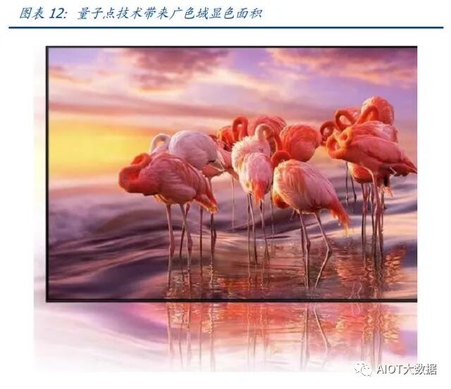 Cutting-Edge Technology | MiniLED Backlight (Part 2)