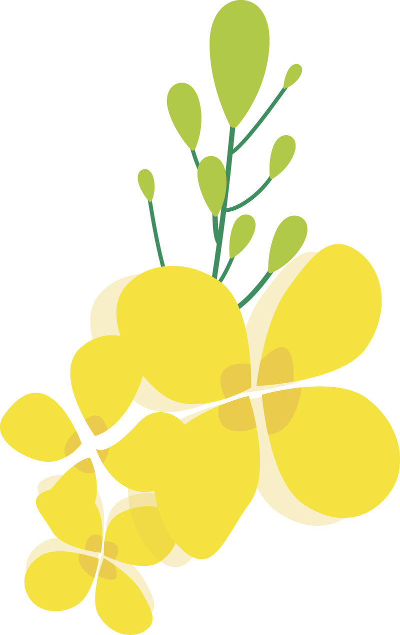 Introduction to Boeing Product Standards - PSDS