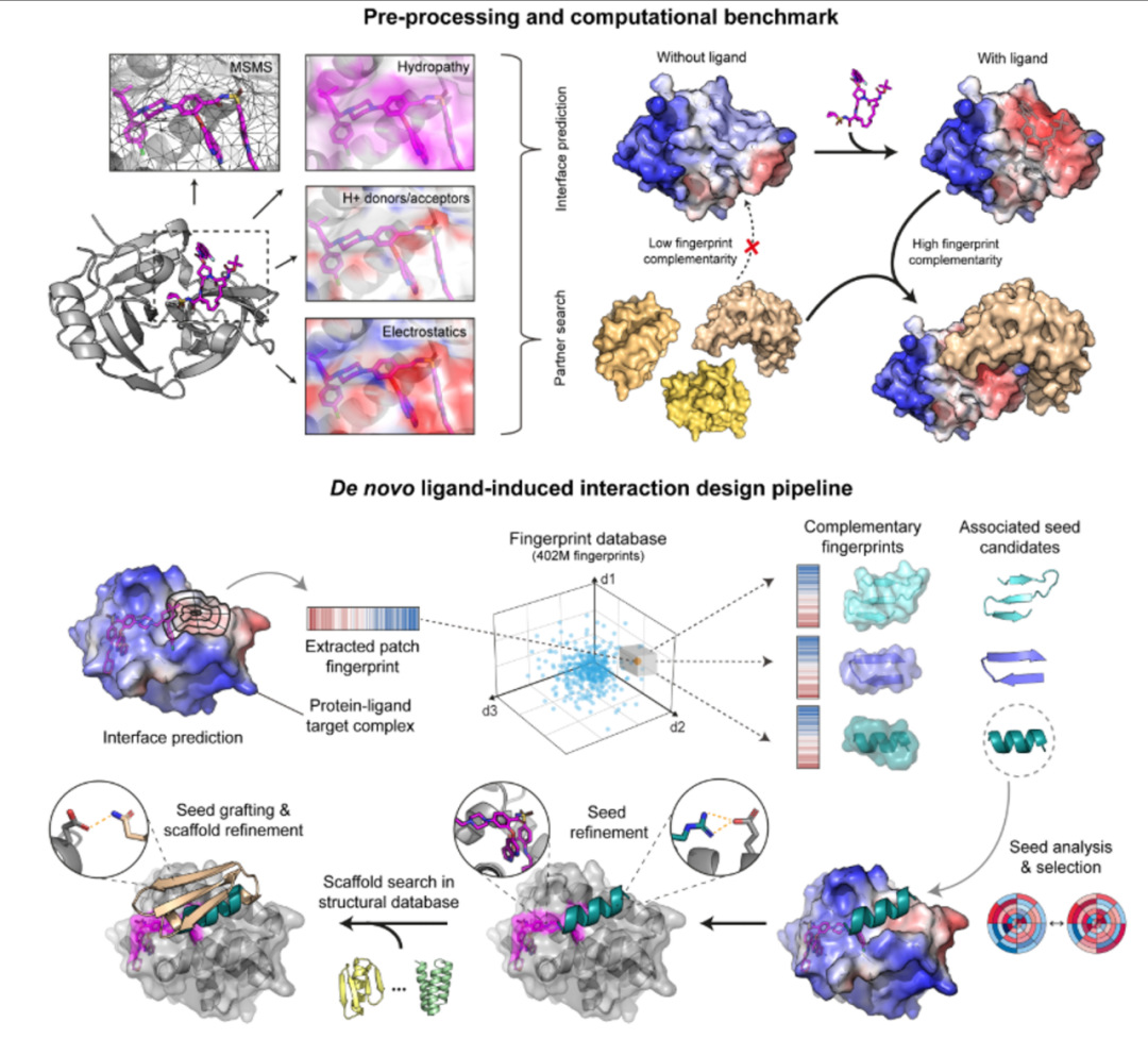 Tutorial | Installing MaSIF-neosurface on Linux: A Geometric Deep Learning Method for Protein Surface Interaction Fingerprinting