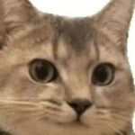 SoC Verification Diary 2 - 2025.06.21