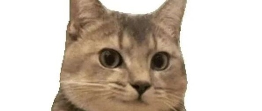 SoC Verification Diary 2 - 2025.06.21