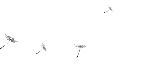 Applications and Prospects of AI Agents in the New Materials Field