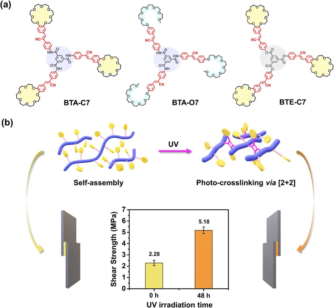 J. Am. Chem. Soc. | Jilin University’s Jiang Shimei: Achieving High-Performance Single-Component Adhesives through Synergistic Supramolecular and Covalent Polymerization