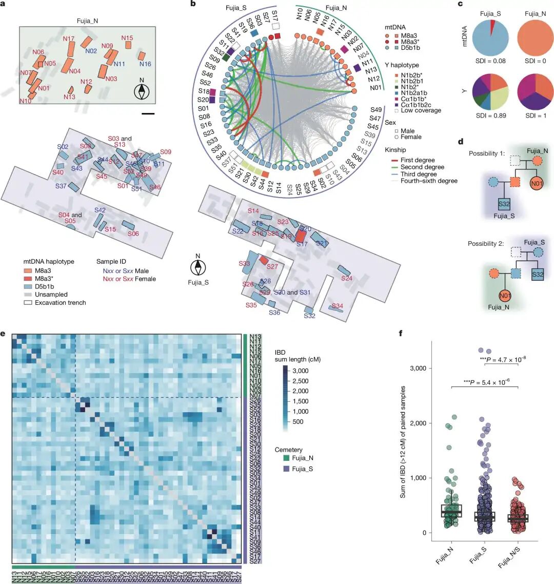 How to Use MATLAB to Retrieve All Illustrations from Nature (Including Images from 2023-2025)