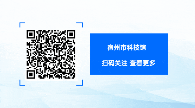 What Kind of 'Network' is Satellite IoT?