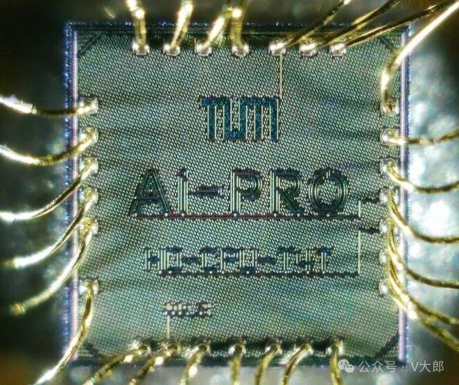 RISC-V's 15th Anniversary: Strong Global Adoption Momentum