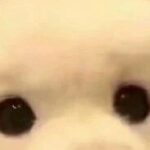 Understanding Development Board Examples: Why Can't You Create Your Own Projects?