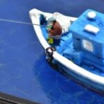 Applications of 3D Printing in Aquariums