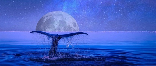 2025 Comprehensive Beginner's Guide to Python