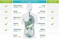 New Hope for Solid Tumors! DS-8201 Achieves Over 22 Months of Sustained Relief and Receives Two Breakthrough Therapy Designations