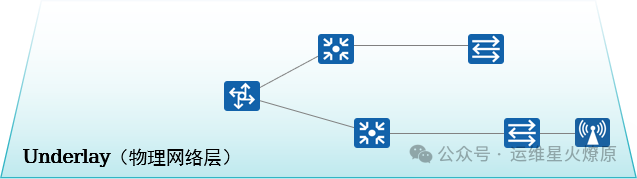Virtual Network Virtualization in Campus Networks
