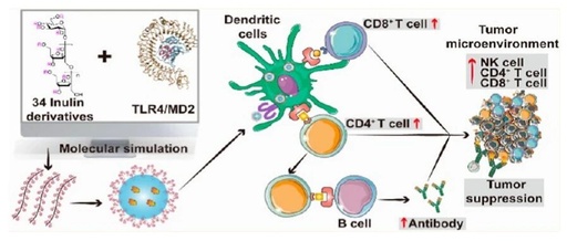 ACS Nano (IF=16.0): Computer-Guided Discovery of Polysaccharide Derivatives as Adjuvants for Cancer Immunotherapy Nanoparticle Vaccines