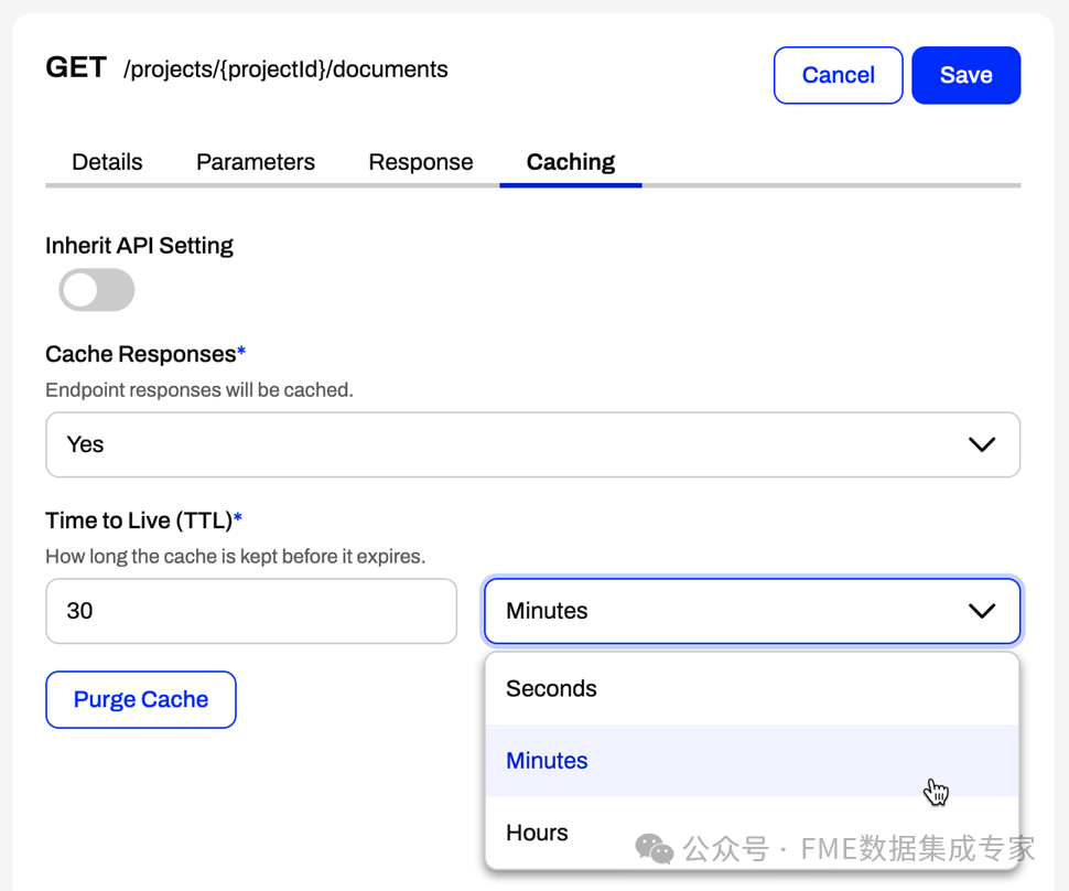 FME Data Virtualization