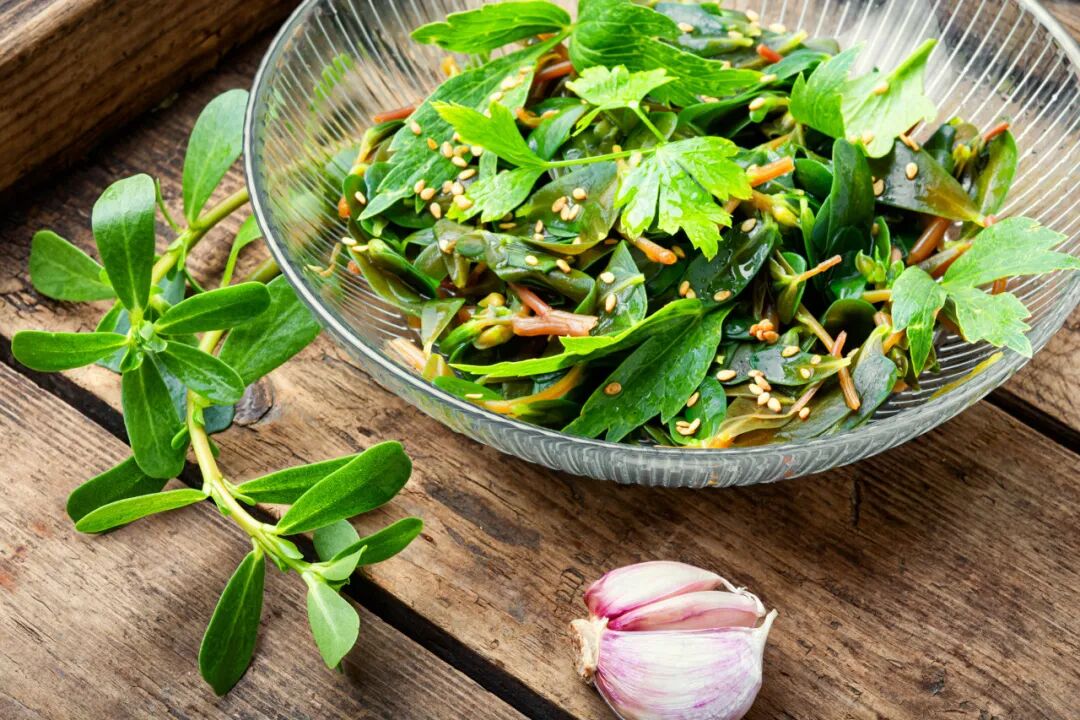 Purslane: A Nutrient-Rich 'Longevity Vegetable' with 16 Times the Vitamin C of Plums