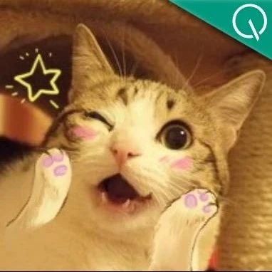 Enhancing Reasoning and Control Capabilities: Breakthroughs in the Dual-System VLA Model for Embodied Robots