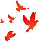 Embedded Supervision: Building a Safety Barrier Together