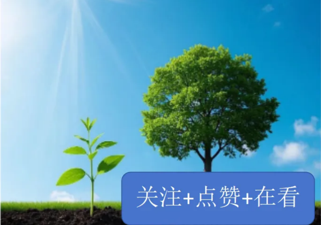 Advancing Artificial Intelligence General Education in Primary and Secondary Schools: Adhering to the "Six Principles"