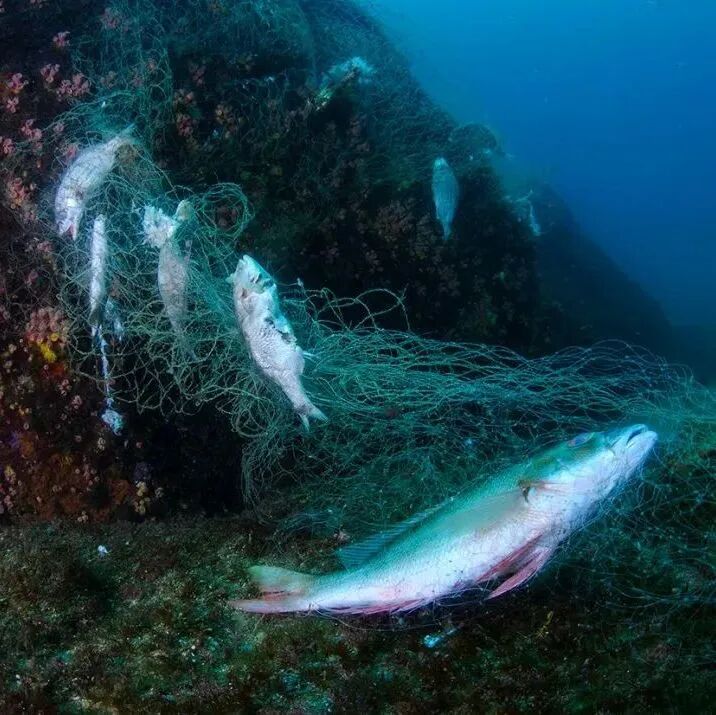 AI and Robots Collaborate to Create 41 New Materials in 17 Days