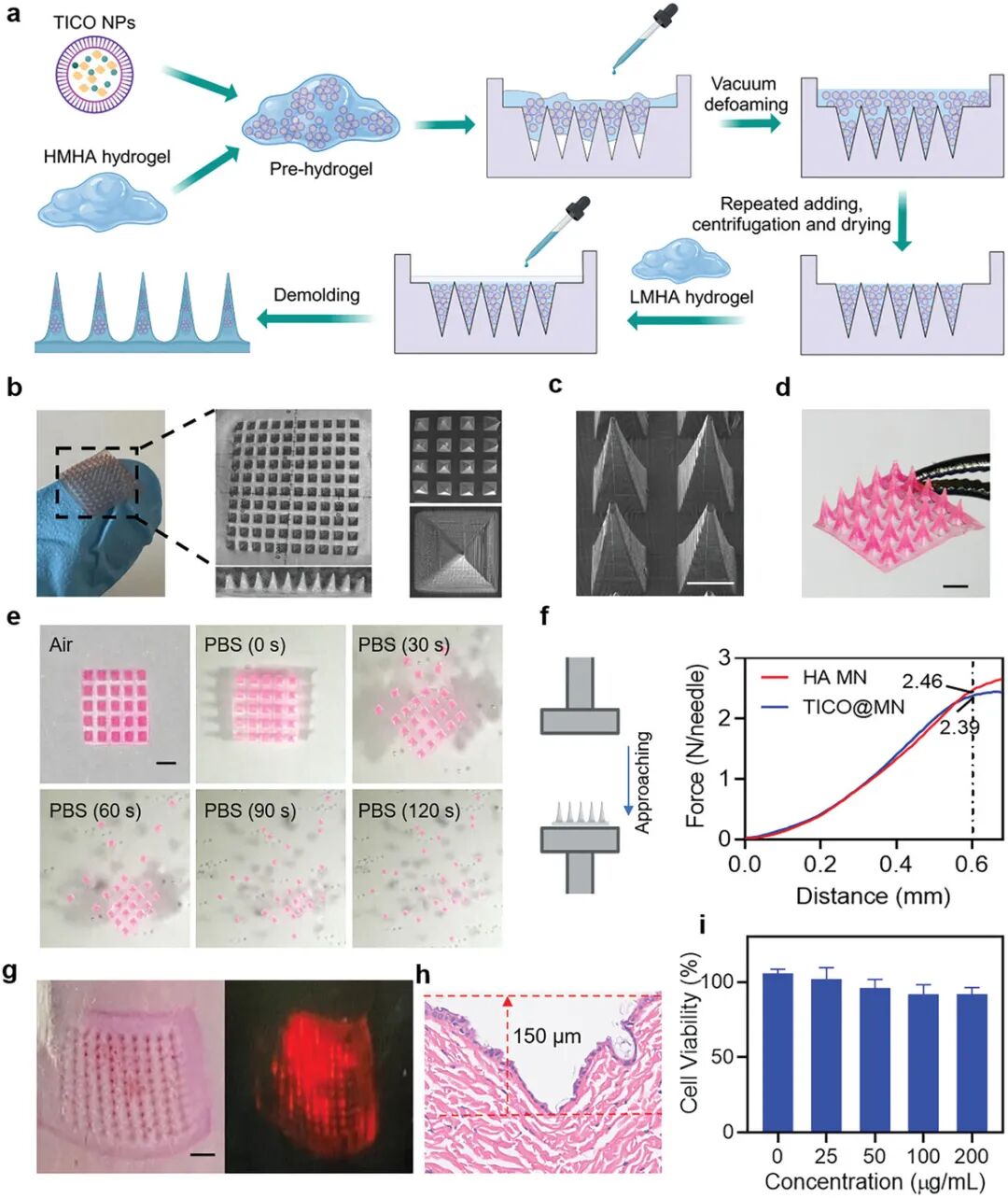 Bacterial Microenvironment-Responsive Microneedle Patches for Real-Time Monitoring and Synergistic Eradication of Infection